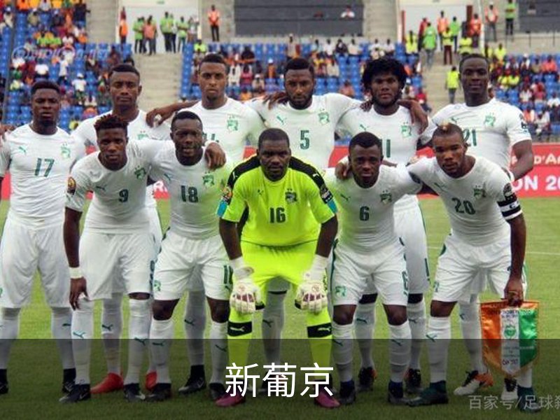 了解新葡京